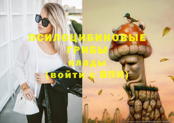 mix Надым