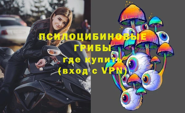 дурь Наволоки
