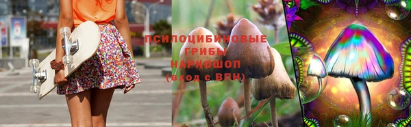 дурь Наволоки