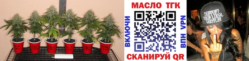 darknet Telegram  МЕГА ССЫЛКА  Оха  купить закладку  ТГК гашишное масло 