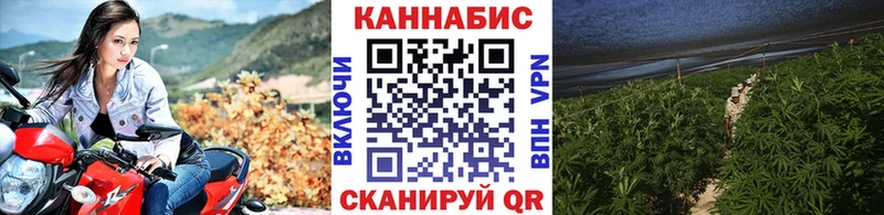 Бошки марихуана планчик Оха